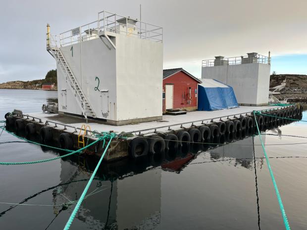 180 t. Fôrflåte for salg